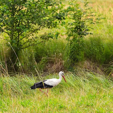 Hafenblick * Luebbenau
