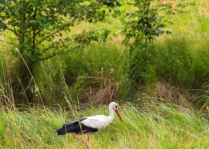 Hafenblick * Lübbenau